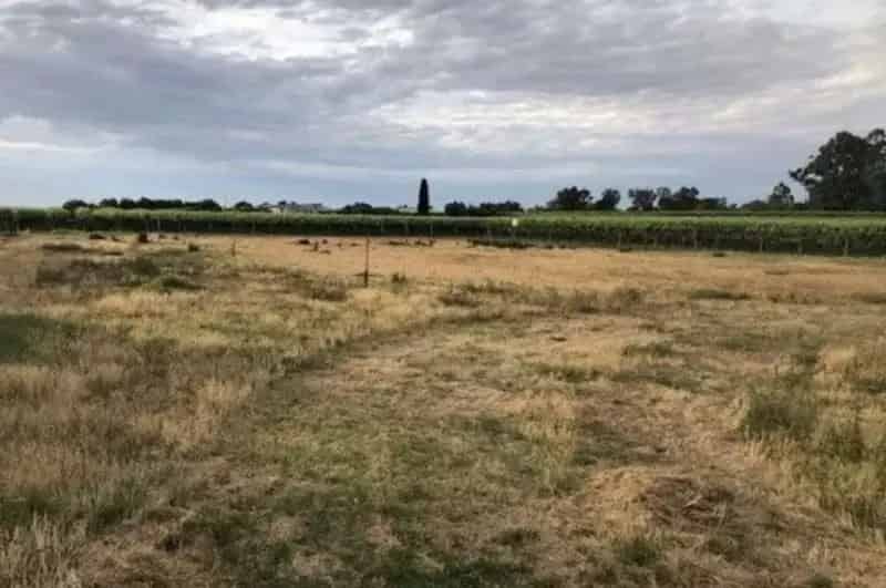 Buy Rural Property 1 Acre in Irymple with Scenic Vineyards