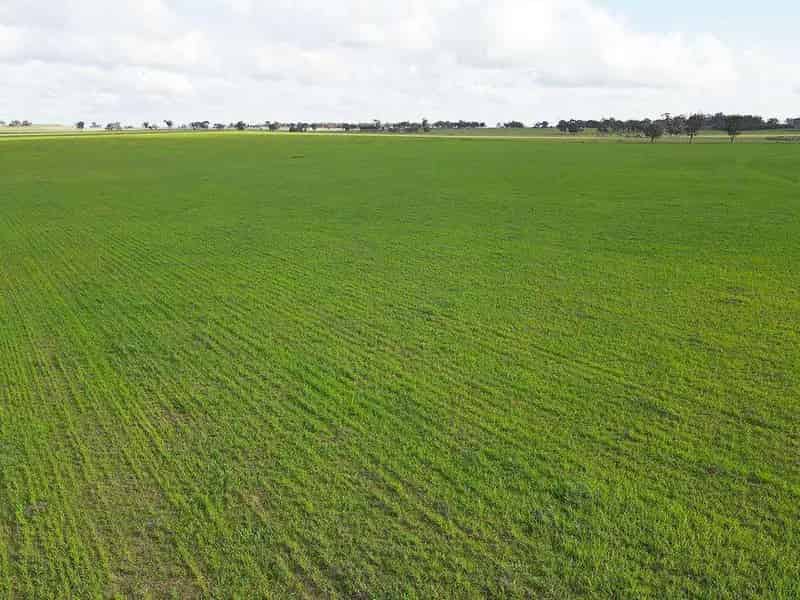 Buy Rural Property with Cropping and Grazing Features in an Ideal Location