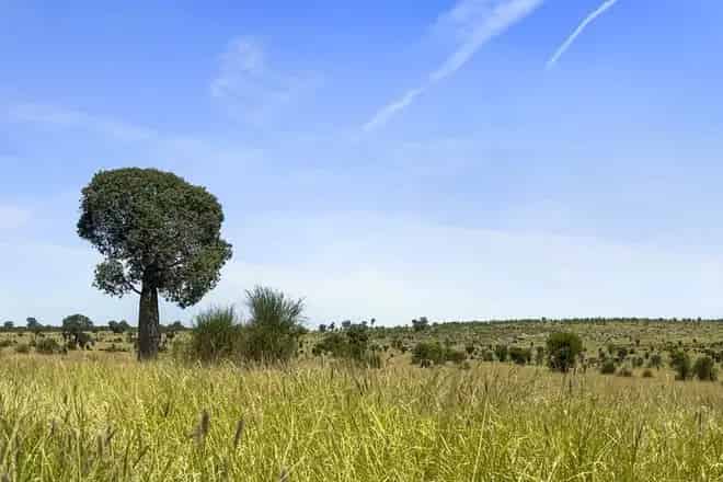 Rural property For Sale , Mitchell, Queensland