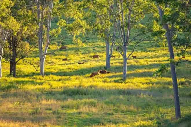 Rural property For Sale , Gympie Regional, Queensland