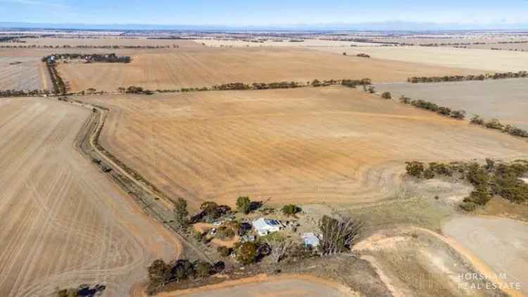 Serene Rural Retreat 5.3 Acres Renovation Project