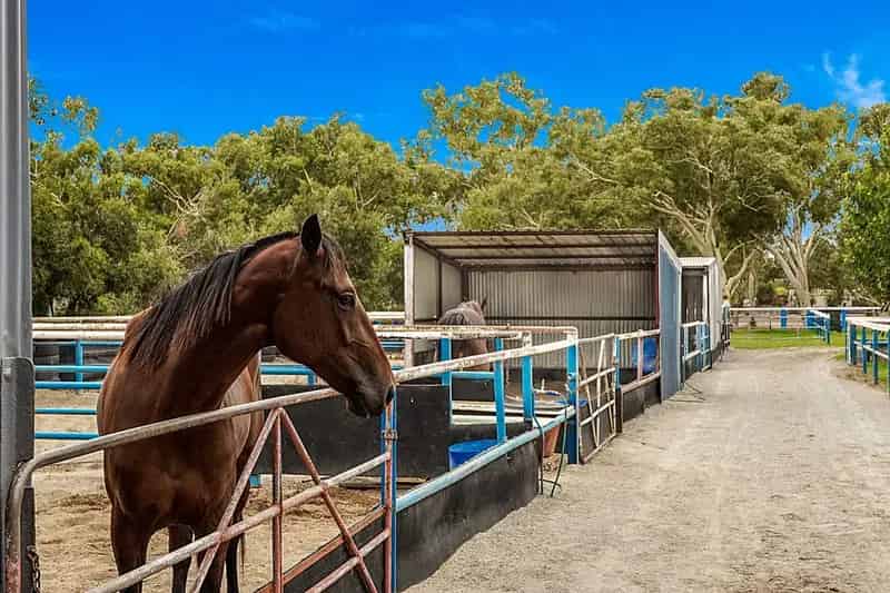 Farmlet For Sale - 4 Binshaw Avenue, Byford WA 6122