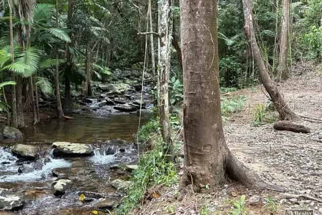 Land For Sale , Cassowary Coast Regional, Queensland