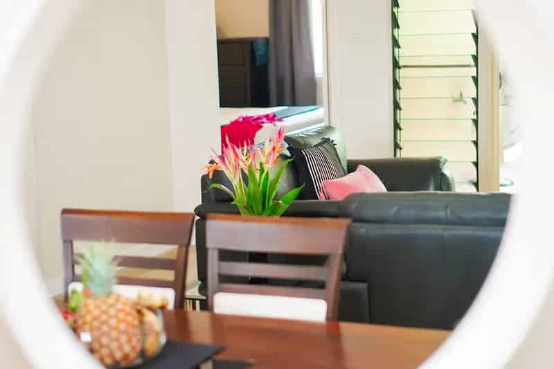 Leafy, Light-Filled Living in the Heart of Parap