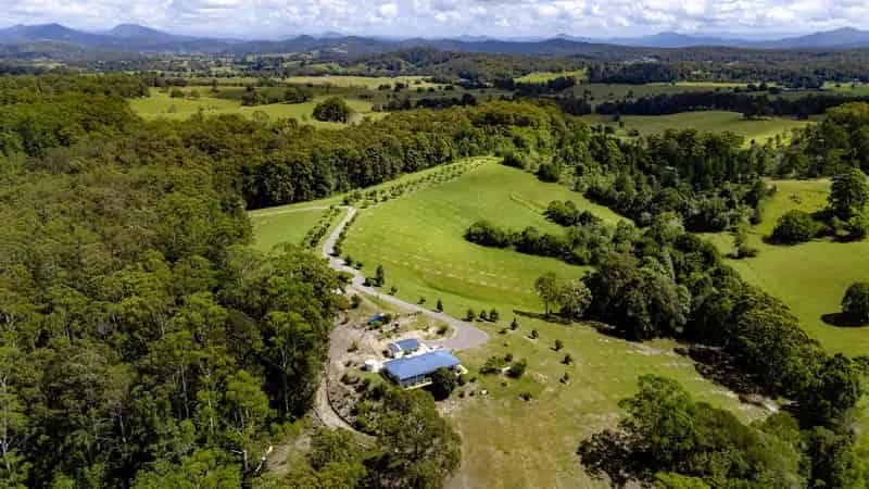 Bundaleer