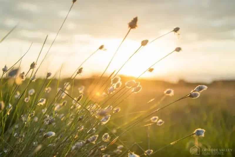 Buy Land at Ridge Views Estate Rosedale with Scenic Rural Outlook
