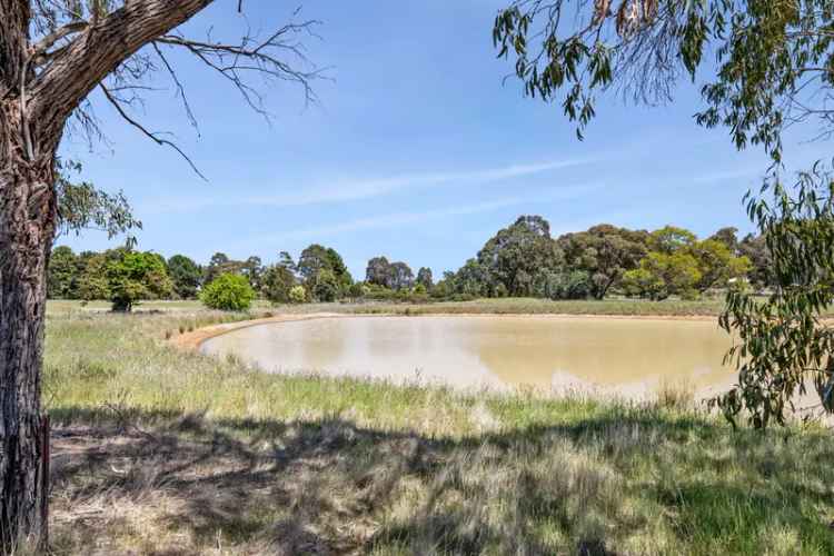 Stunning and peaceful in the Macedon Ranges