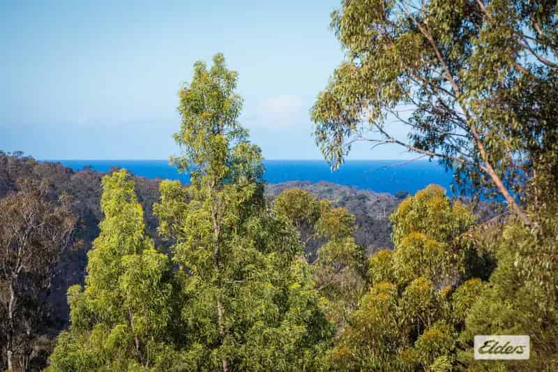 Land For Rent , Bega Valley Shire Council, New South Wales