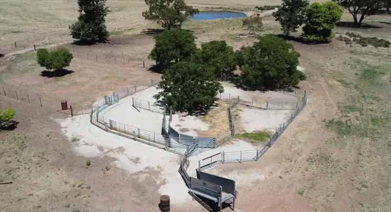 Rural property For Sale , Temora Shire Council, New South Wales