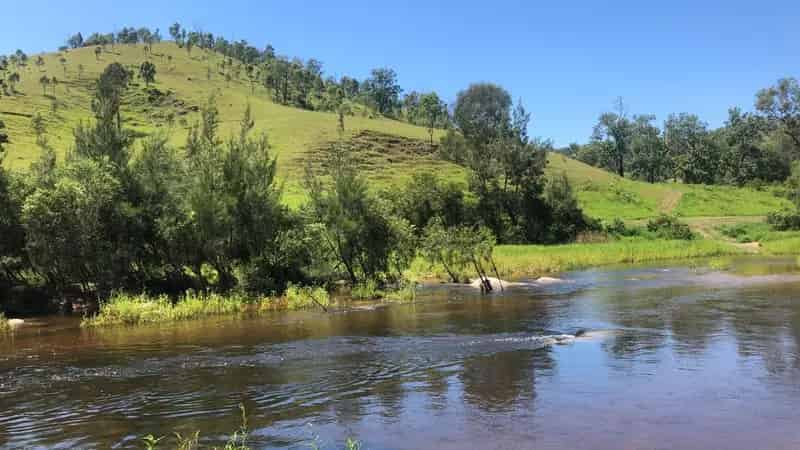 Large Scale Grazing Country