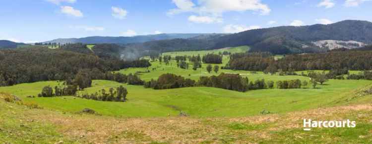 Rural For Sale in Dorset, Tasmania