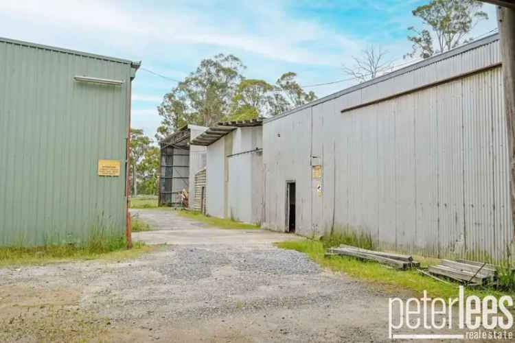 Rural For Sale in West Tamar, Tasmania