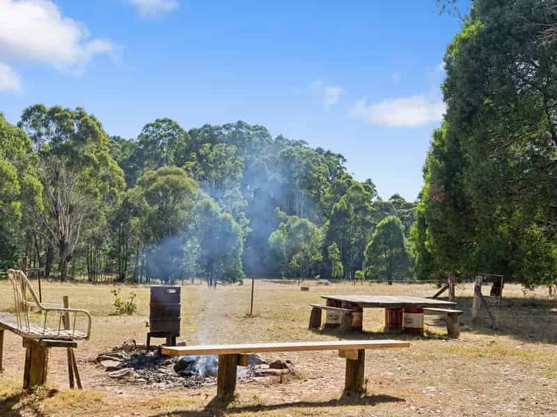 Serene 14 Acre Rural Retreat of Useable Land
