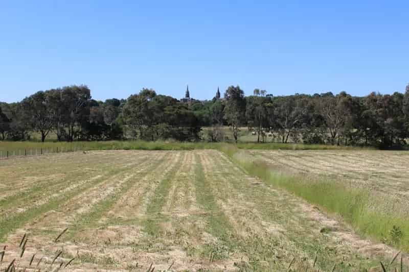 Buy Rural Property in Hamilton Large Building Block with Water Access