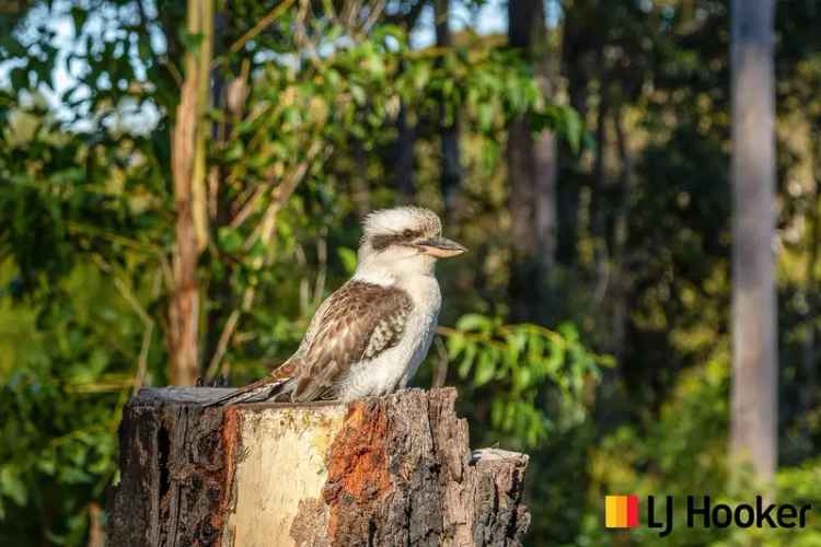 Land For Rent in Malua Bay, New South Wales