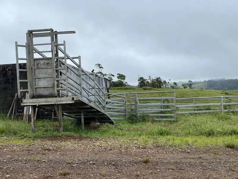 Rural property For Rent , Tablelands Regional, Queensland
