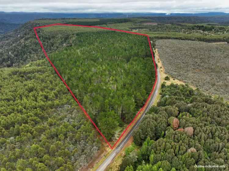 Tasmanian Forestry Land for Sale Near Burnie