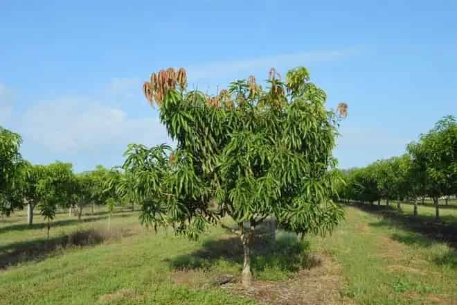 House For Sale , Tumbling Waters, Northern Territory