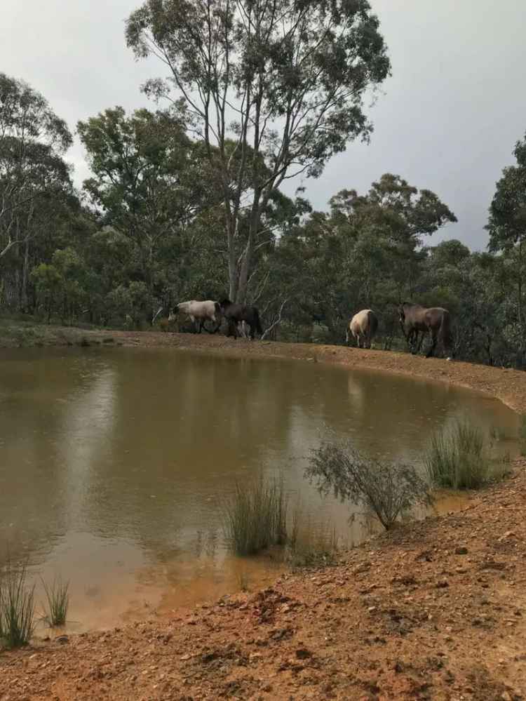 Rural For Sale in Goulburn Mulwaree Council, New South Wales