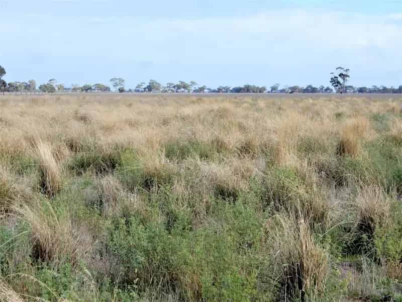 Buy rural property in Keith with cropping and grazing options