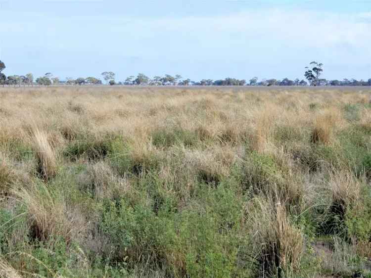 Rural For Rent in Keith, South Australia