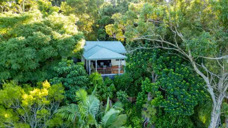 Rainforest Haven in North Maleny