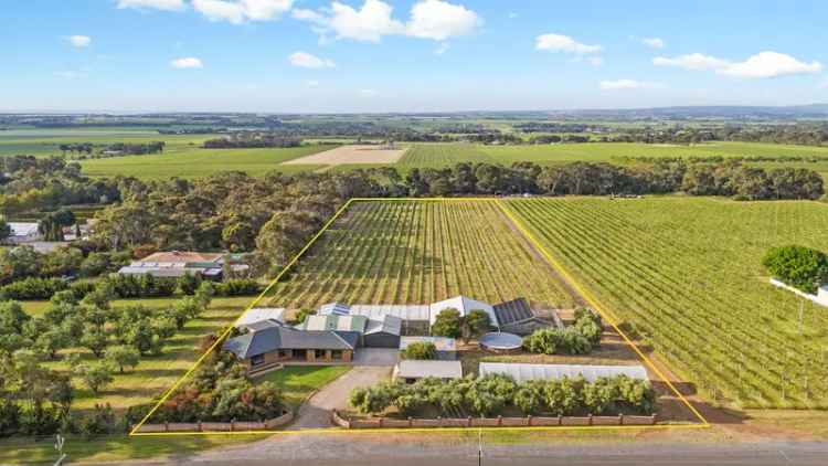 Buy lifestyle property in Willunga with vineyard and stunning views