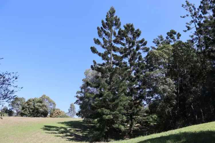 Rural For Sale in Clarence Valley Council, New South Wales