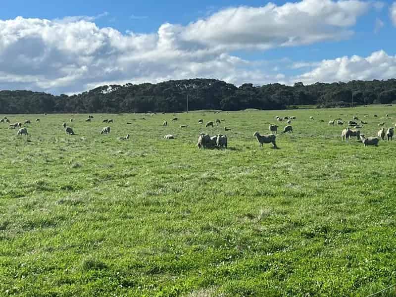 Rural property For Sale , City Of Albany, Western Australia