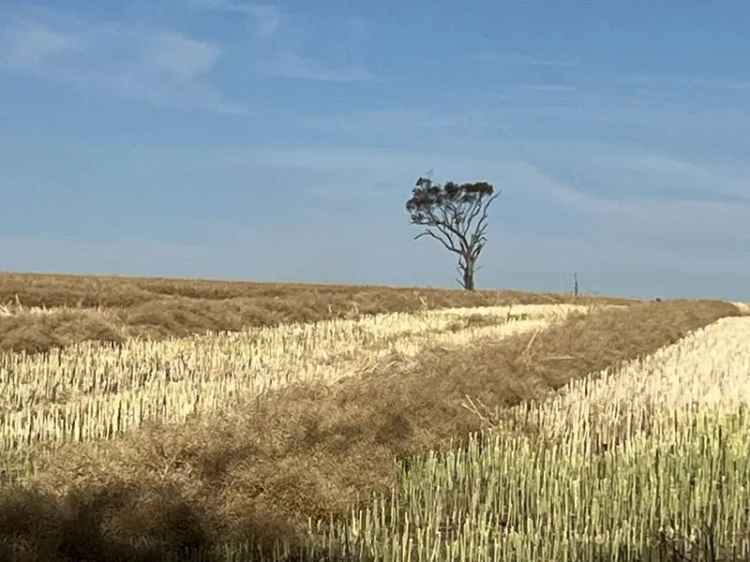 Rural For Rent in Bordertown, South Australia