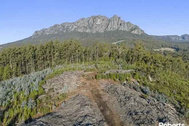 Land For Sale in Kentish, Tasmania