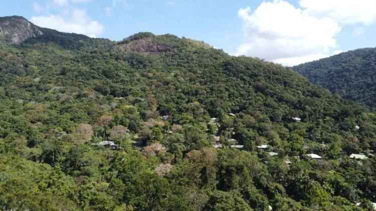 Buy Rainforest Block Close to Cairns CBD with Unique Features