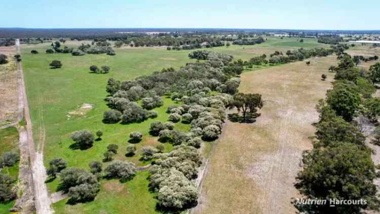  For Sale in Muchea, Western Australia