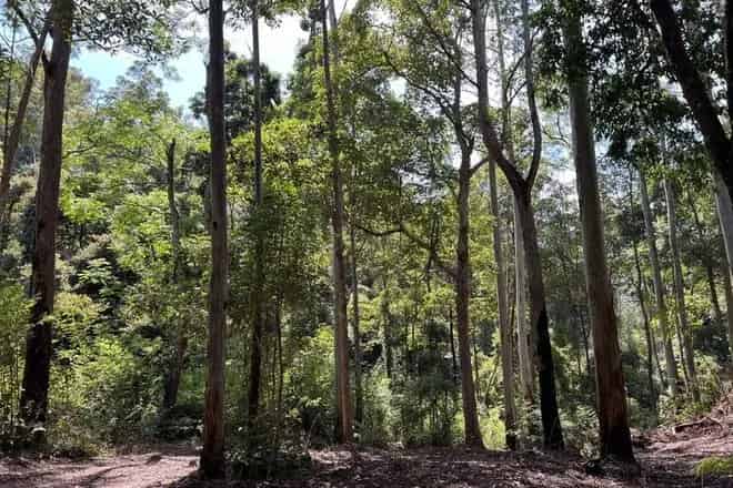Land For Sale , Kempsey Shire Council, New South Wales