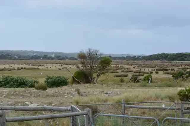 Boomaroo a decent sized farm near Robe