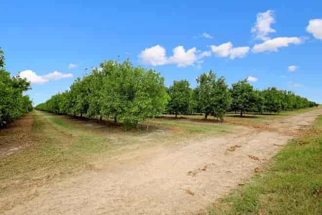 Rural property For Sale , Bundaberg, Queensland