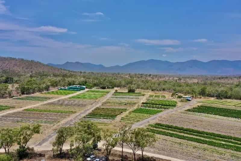 Buy Rural Property in Oak Valley Estate with Sheds and Irrigation