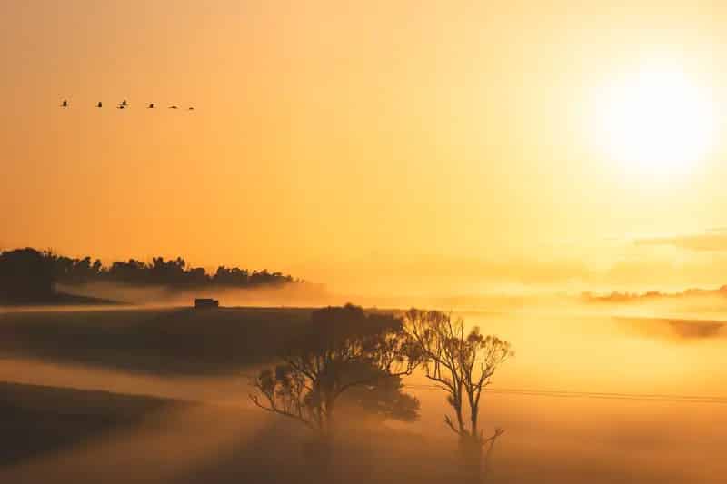 Land For Rent , Wollongong City Council, New South Wales