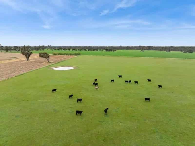 Rural property For Sale , Goornong, Victoria
