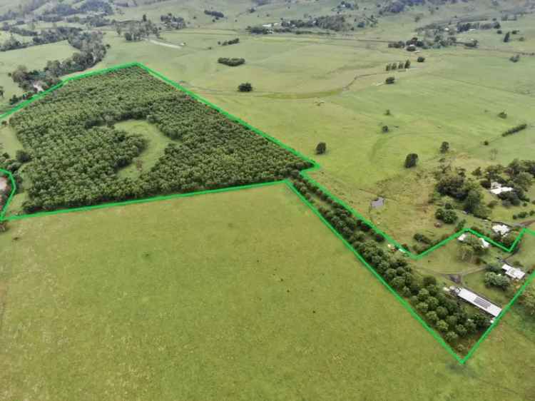 Rural For Sale in Kyogle Council, New South Wales