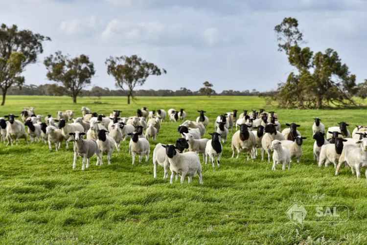 Rural property For Sale in Keith, South Australia