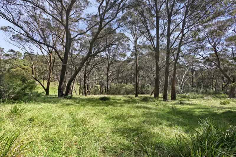 Buy Vacant Land in Blue Mountains with Stunning Bush Setting