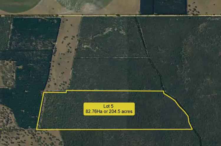 362 Acres Rural & Bushland Retreat Fox SA - Lifestyle Opportunity