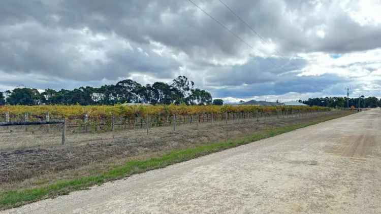 Buy Rural Land in Penola with Shared Driveway and Community Allotments