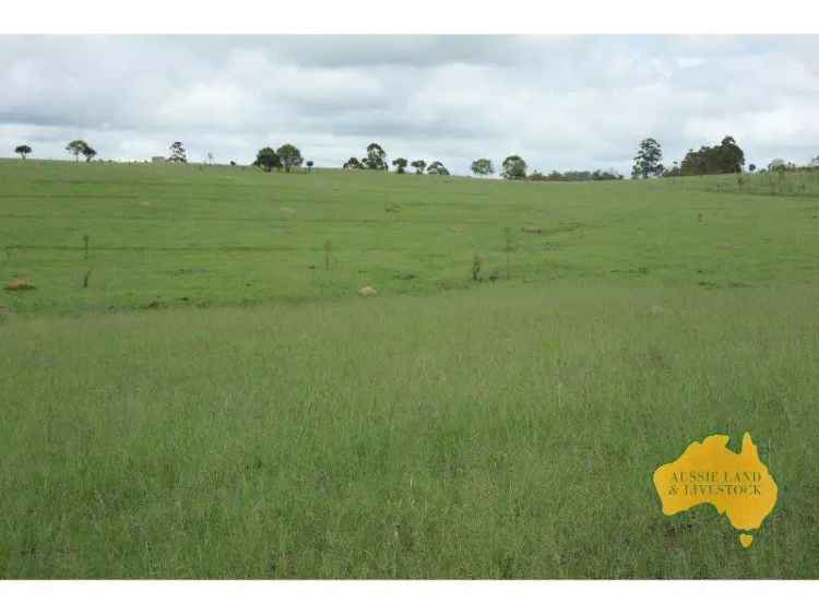 Buy Rural Property in Dangore with Cattle Operations and Home