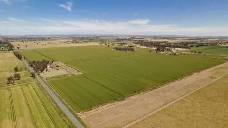 Buy Rural Property in Rochester Kyabram District with Large Scale Cropping