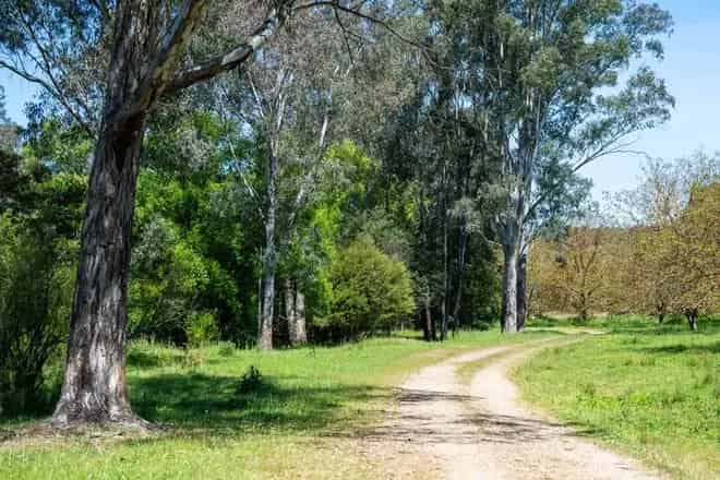 Rural property For Sale , 55, Merri Meadows Lane, Alpine Shire, Victoria
