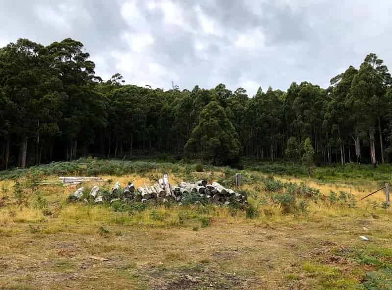 Nature's Perfect Canvas - Lot 5 Gordon River Road, Tyenna (title: 109610/5) With Licensed Access Via Crown Land