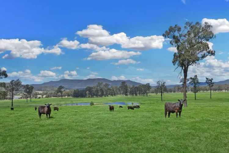 Rural property for sale with expansive views in Congewai Valley