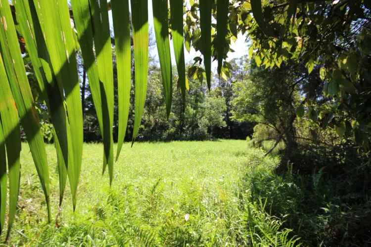 Lot 1 Peachester Road, Beerwah QLD 4519 - House For Sale